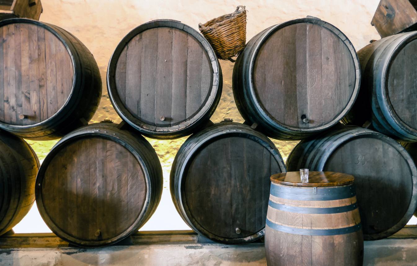 Vinogradarstvo i istarska vina