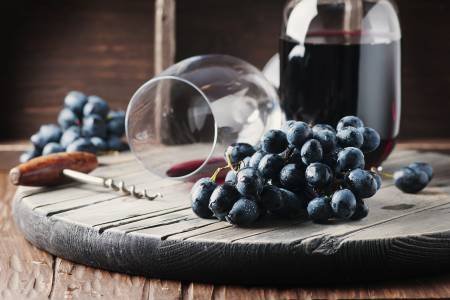 Moćni teran, vino istarske kvalitete
