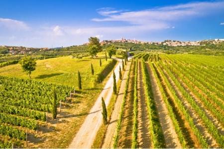 Autumn in Istria: 9 Ideas on How to Spend a Day in Istria